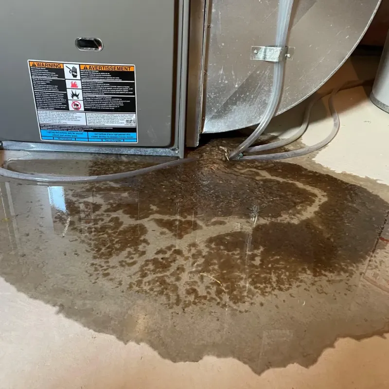 Appliance Leak Cleanup in West Bountiful, UT